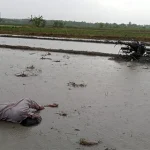 Hujan Deras di Bekasi Picu Petir Seorang Pria Tewas di Sawah