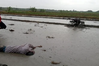 Hujan Deras di Bekasi Picu Petir Seorang Pria Tewas di Sawah