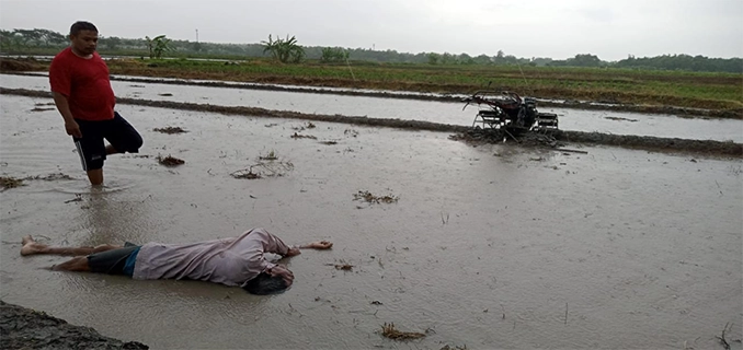 Hujan Deras di Bekasi Picu Petir Seorang Pria Tewas di Sawah