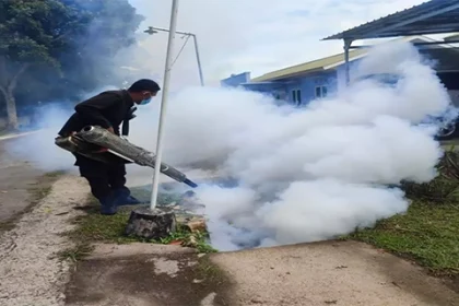 Pancoran Jadi Zona Merah DBD di Jaksel Total Kasus 1.384 2025