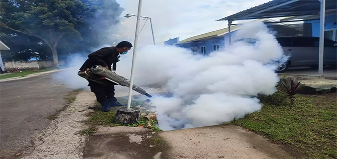 Pancoran Jadi Zona Merah DBD di Jaksel Total Kasus 1.384 2025