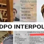 BNN Telusuri Dugaan Kaitan Dewi Astutik Jaringan Fredy Pratama