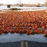 Fenomena Sungai Atmosfer Picu Banjir Hebat di Pasifik Barat Laut