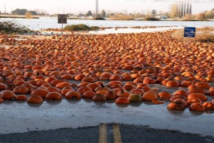 Fenomena Sungai Atmosfer Picu Banjir Hebat di Pasifik Barat Laut