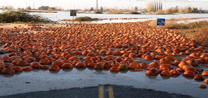 Fenomena Sungai Atmosfer Picu Banjir Hebat di Pasifik Barat Laut