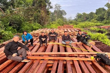 Inhu Digegerkan KLH Duga 300 Kubik Kayu Hasil Illegal Logging