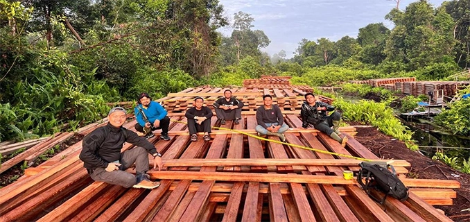 Inhu Digegerkan KLH Duga 300 Kubik Kayu Hasil Illegal Logging