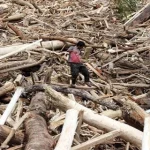 Satgas Khusus Usut Kayu Gelondongan Pascabanjir Sumatera