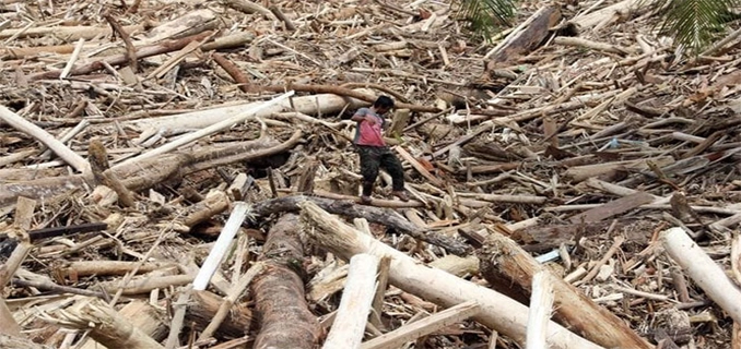 Satgas Khusus Usut Kayu Gelondongan Pascabanjir Sumatera