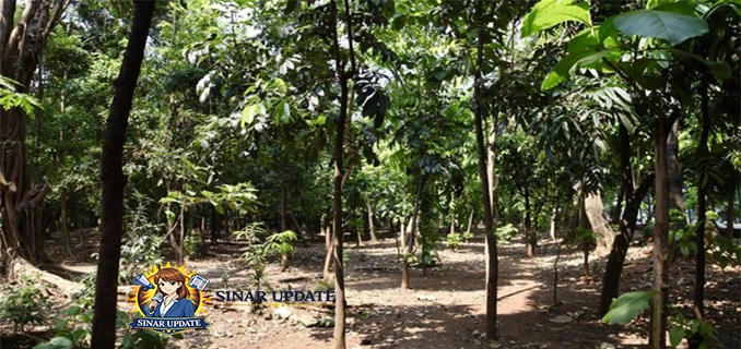 Heboh Taman Kota Cawang Diduga Jadi Sarang Asusila