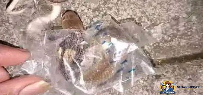 Ular Kobra Gigit Remaja Sukoharjo Diduga Terjebak Selotip Paket